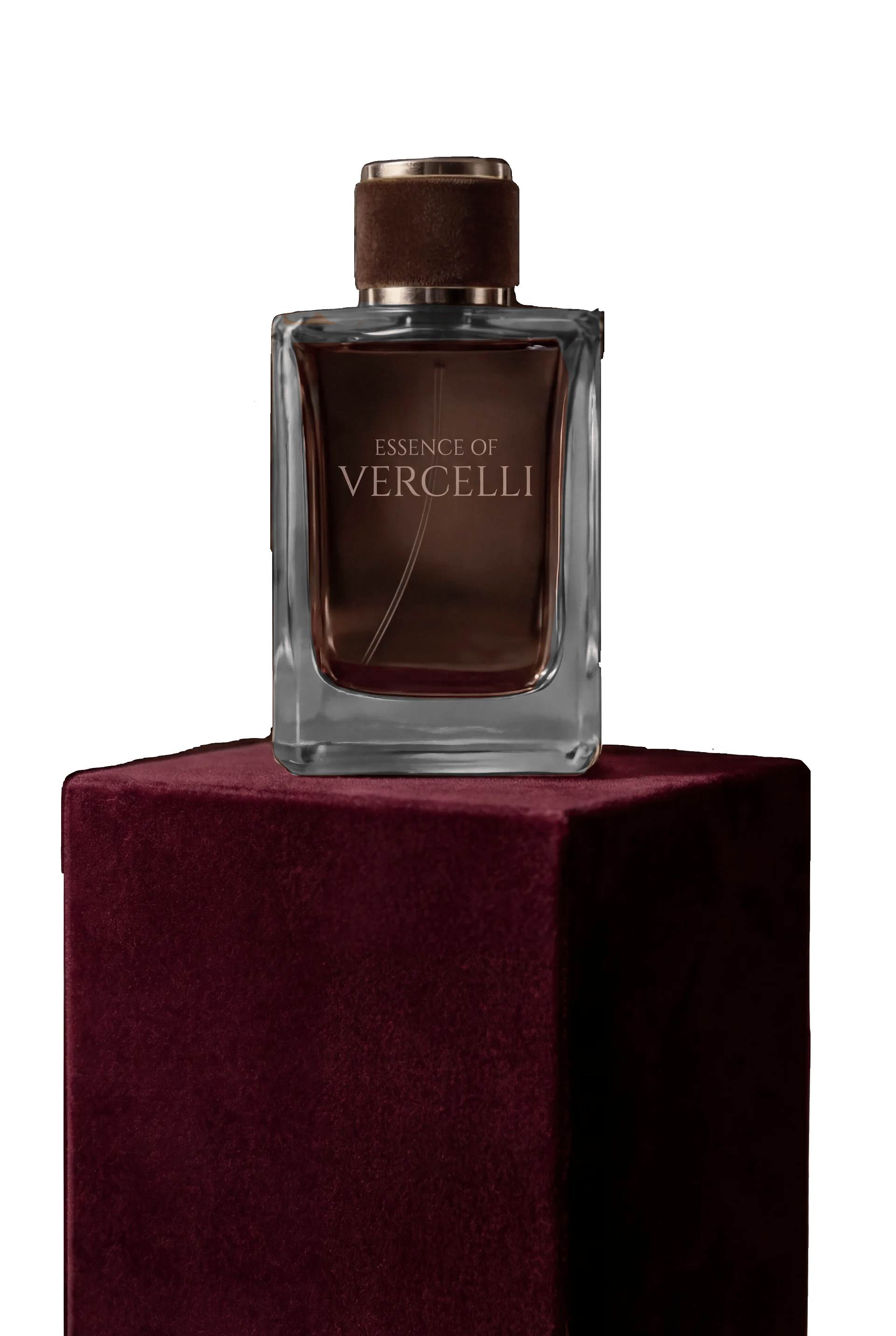 Shadow of the Guillotine